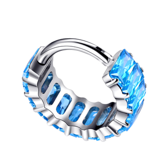 Titanium Hinged Segment Clicker Ring 