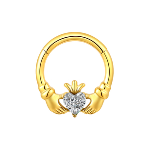 ASTM F136 Titanium Hinged Segment Clicker Ring Jewelry 