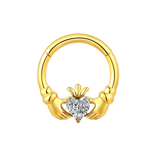 ASTM F136 Titanium Hinged Segment Clicker Ring Jewelry 