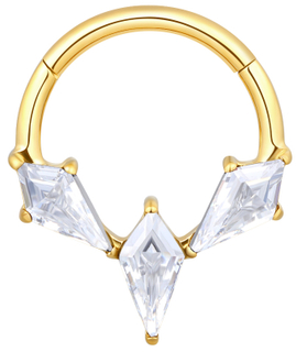 ASTM F136 Titanium Paved Kite-Cut CZ Hinged Segment Ring