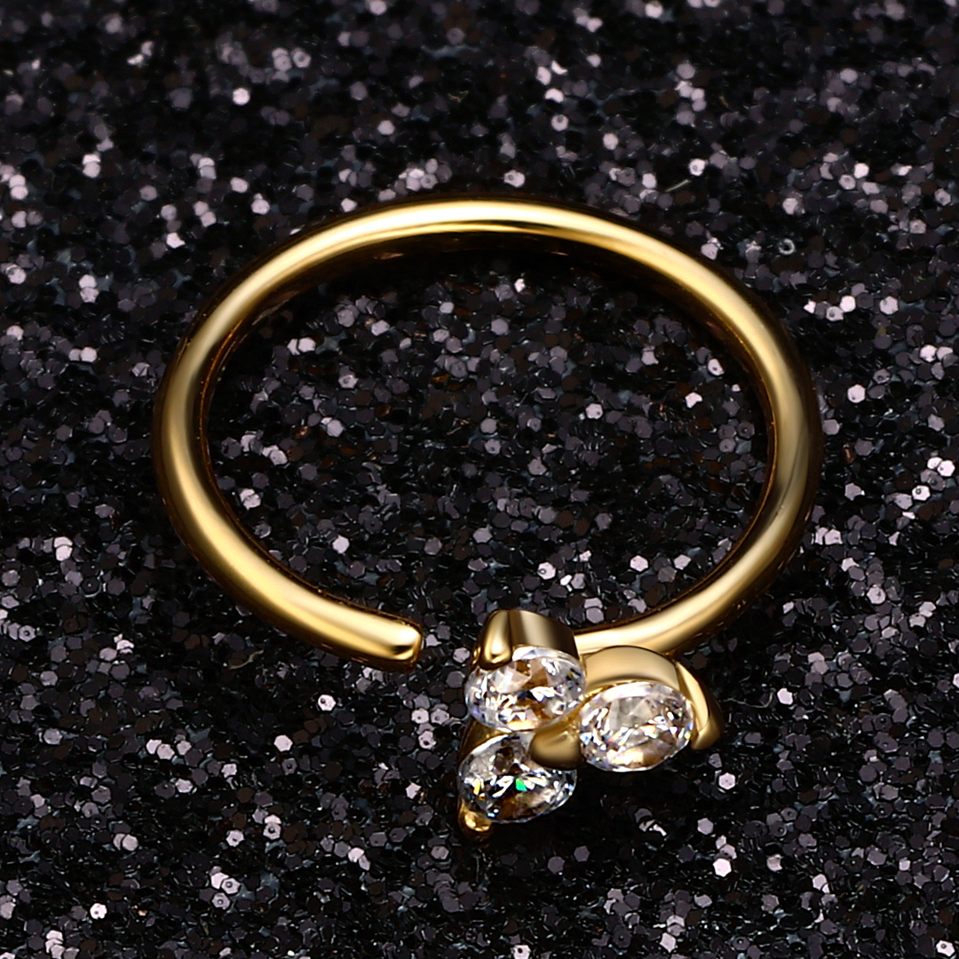 Seamless Nose Ring with CZ Stones